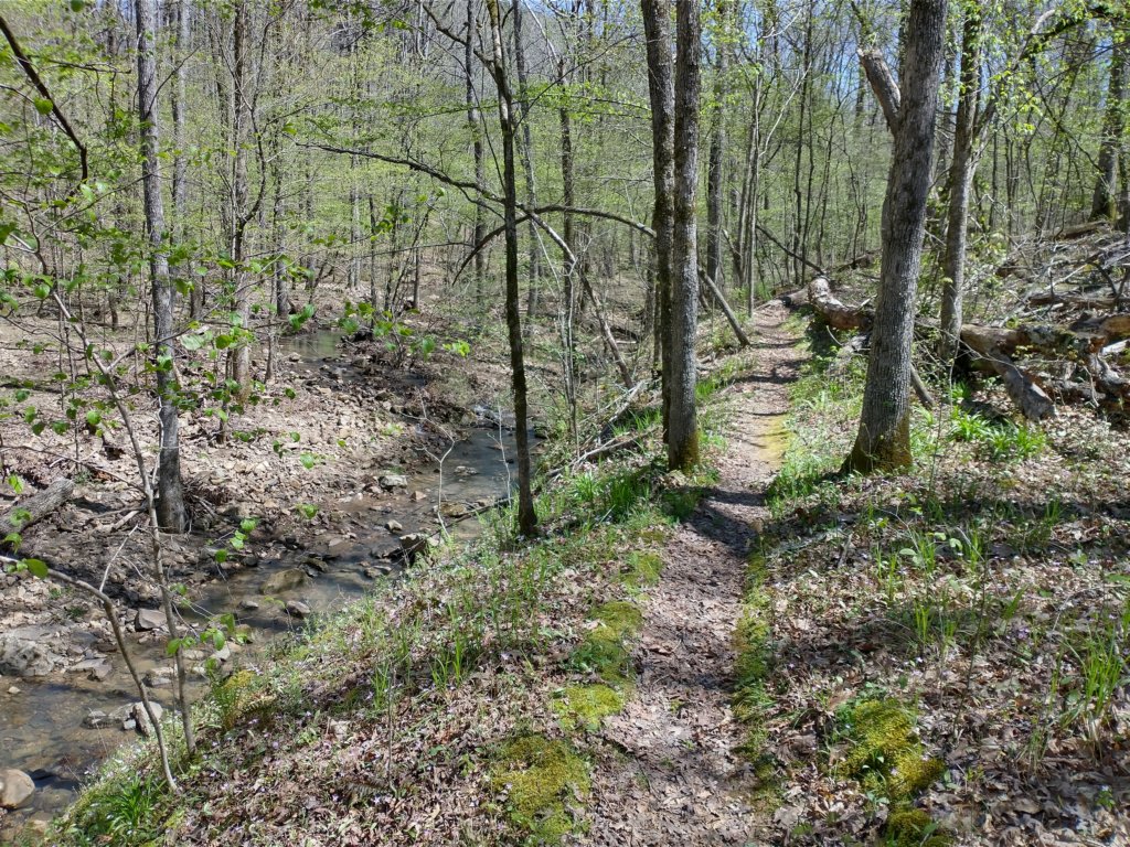 img_20230401_124742891_hdr.jpg