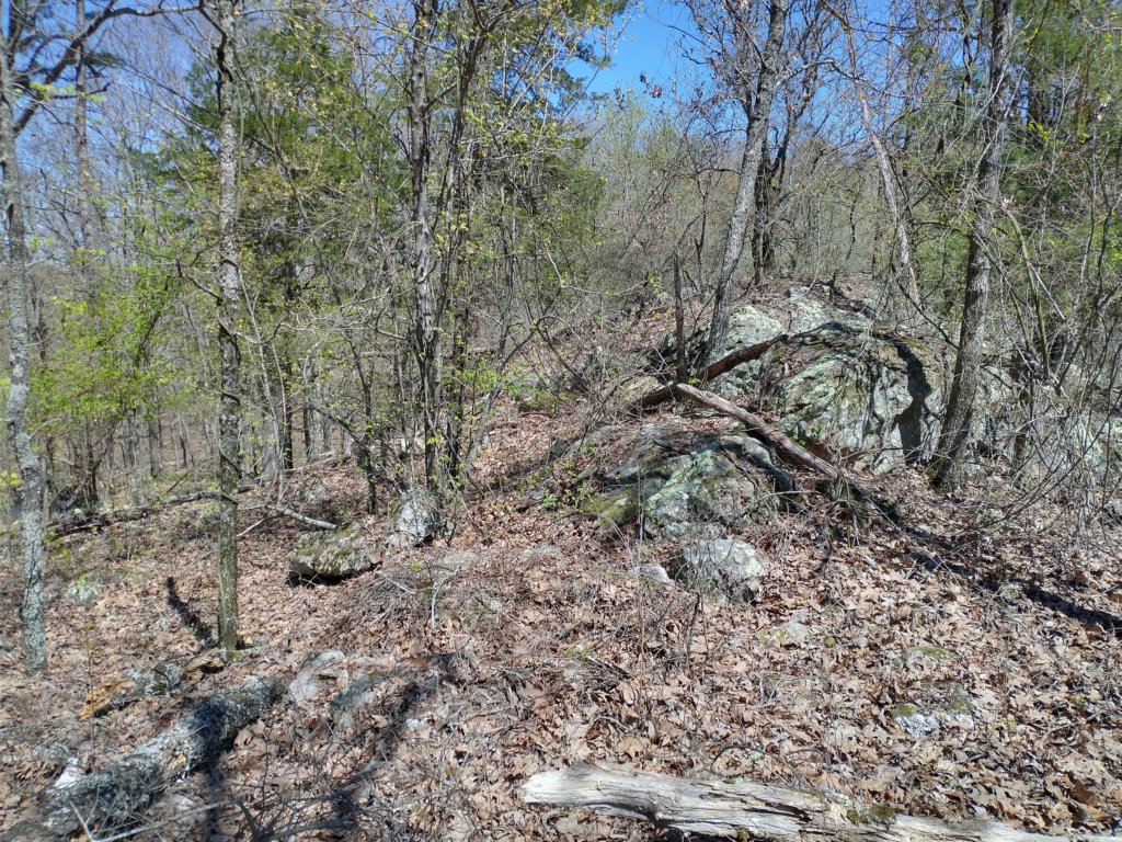 img_20230401_134615832_hdr.jpg