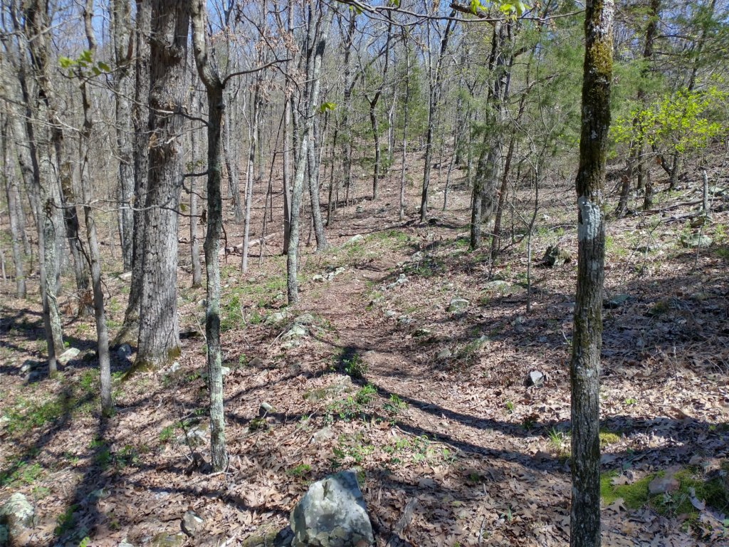 img_20230401_134742160_hdr.jpg