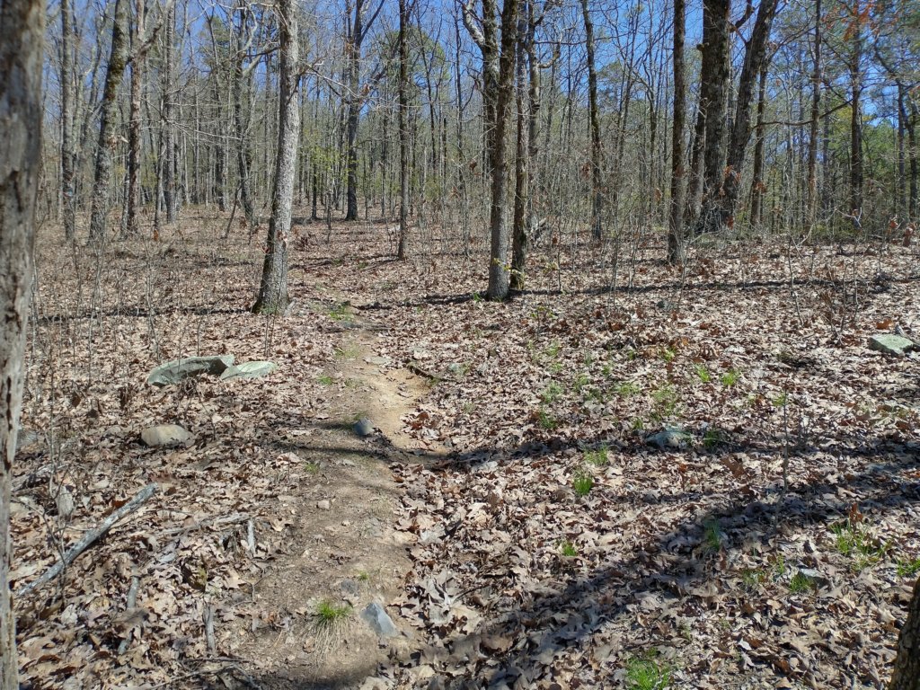 img_20230401_135428426_hdr.jpg