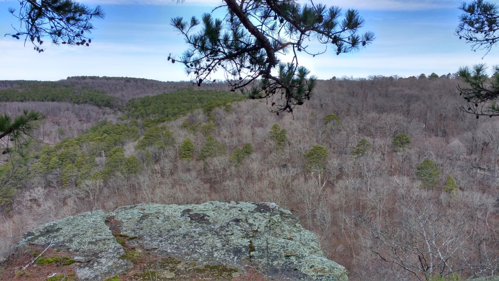 img_20200119_103733150_hdr.jpg