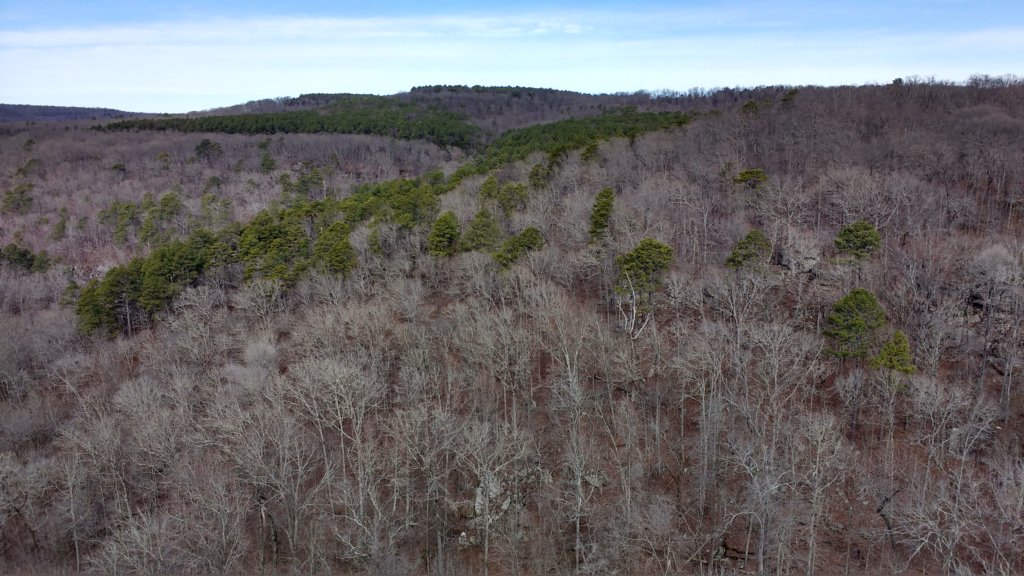 img_20200119_104052503_hdr.jpg