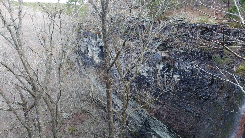 img_20200119_104404101.jpg