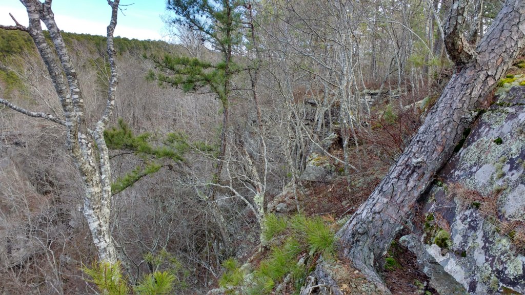 img_20200119_105702076_hdr.jpg