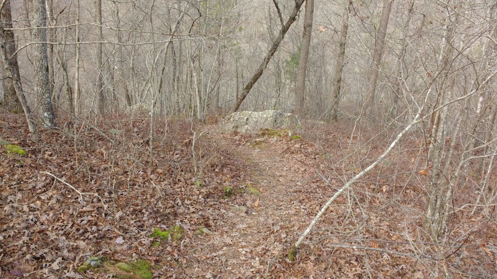 img_20200119_105924219.jpg