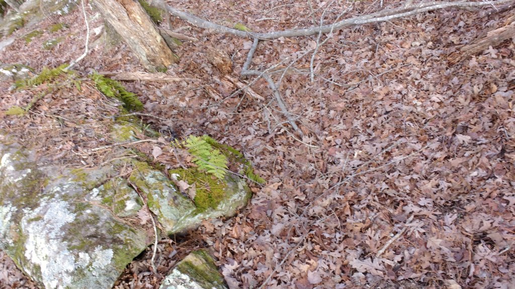 img_20200119_110015538.jpg