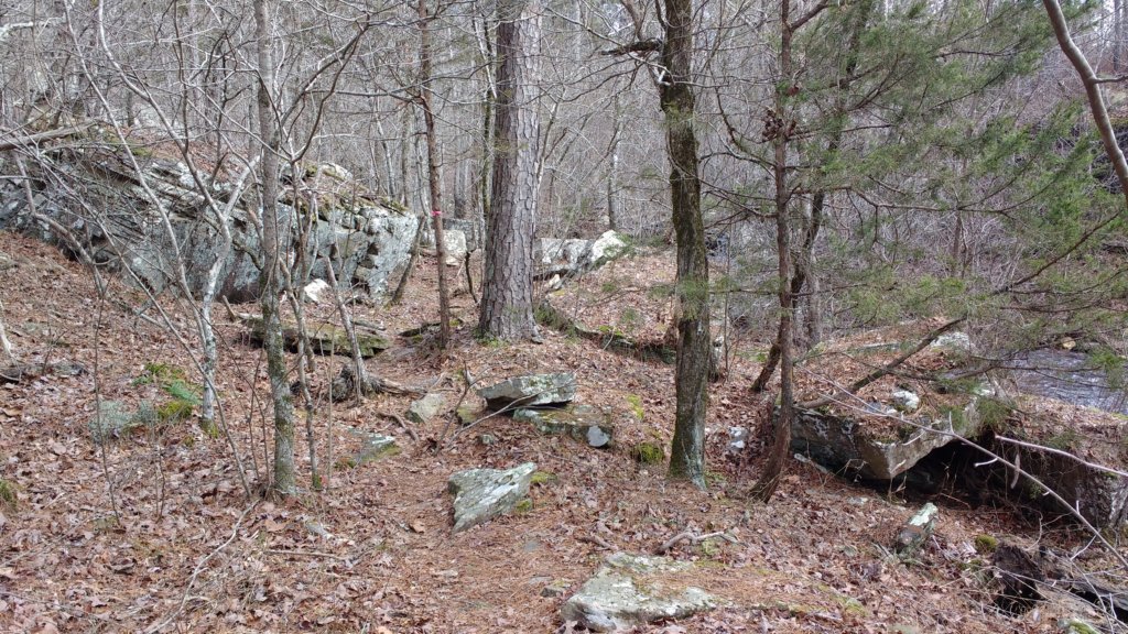 img_20200119_111114457.jpg