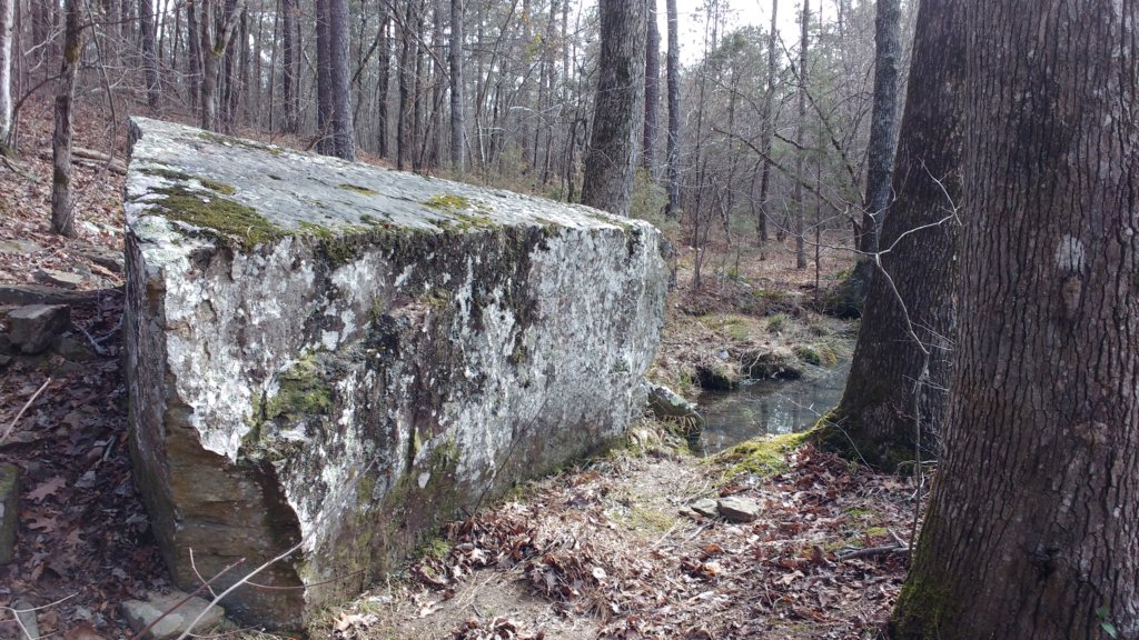 img_20200119_111516425.jpg