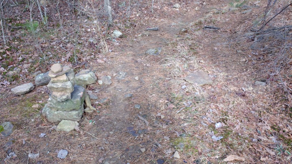 img_20200119_111839851.jpg