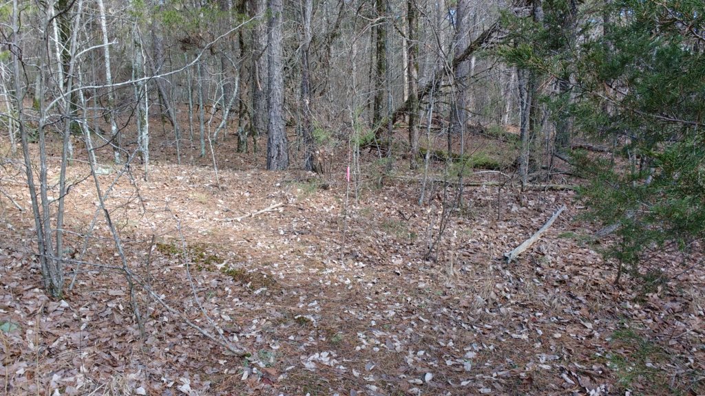 img_20200119_112306562.jpg
