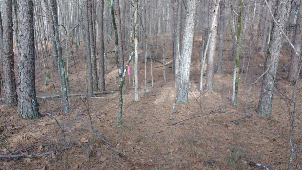 img_20200119_112639708.jpg