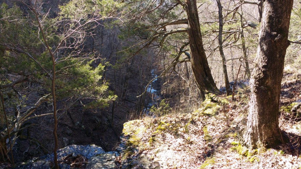 img_20200119_124326546.jpg