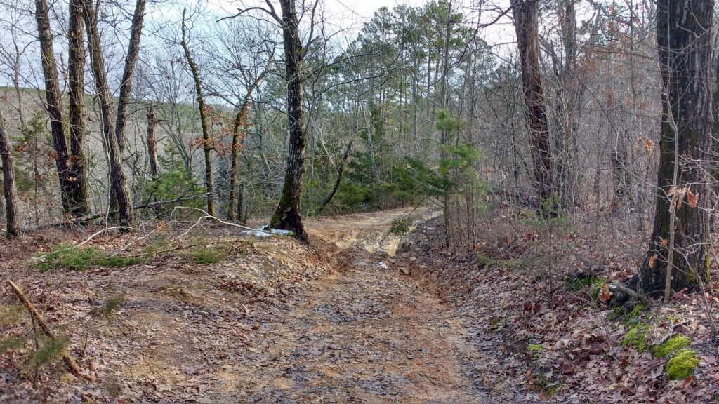 img_20200125_101349363_hdr.jpg