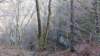 img_20200125_101744571_small.jpg