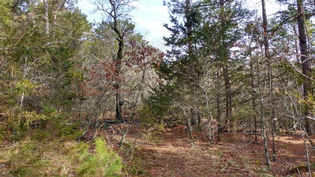 img_20200125_104122911_hdr.jpg