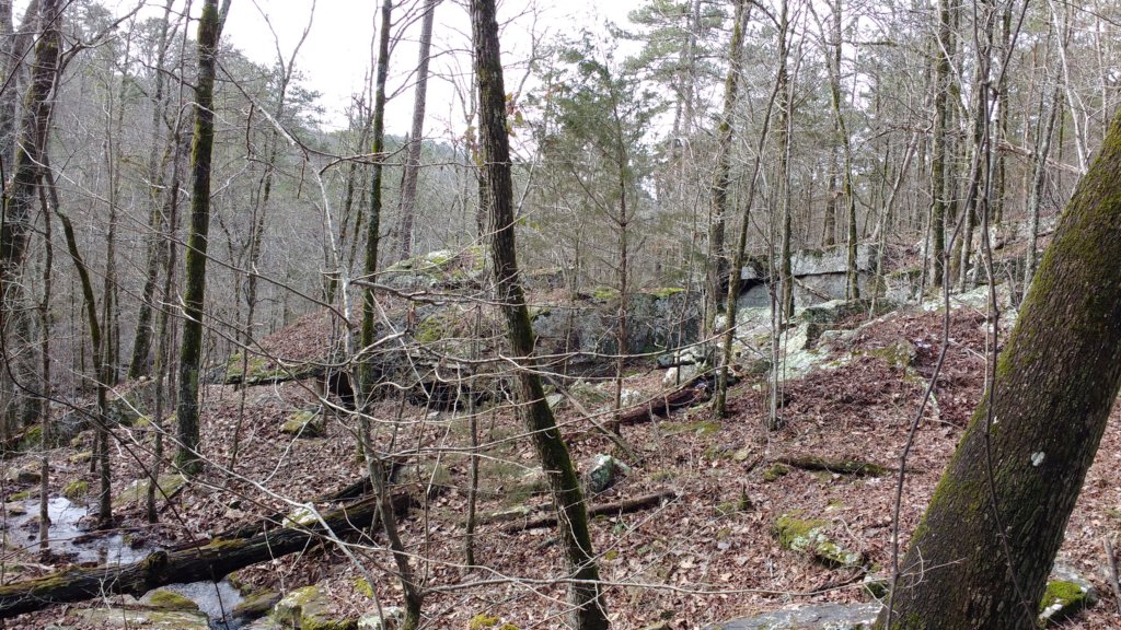 img_20200125_105019474.jpg