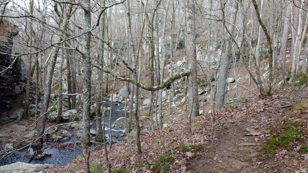 img_20200125_105646664.jpg