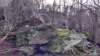 img_20200125_110730484_hdr_small.jpg
