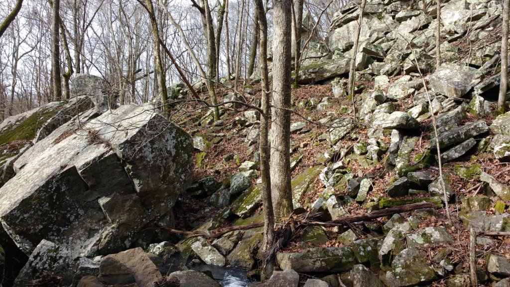 img_20200125_110821437.jpg
