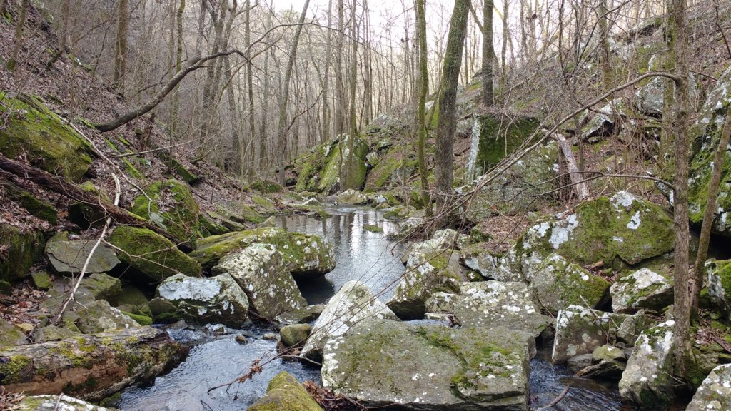 img_20200125_112009886.jpg