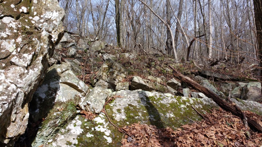 img_20200125_112950504.jpg