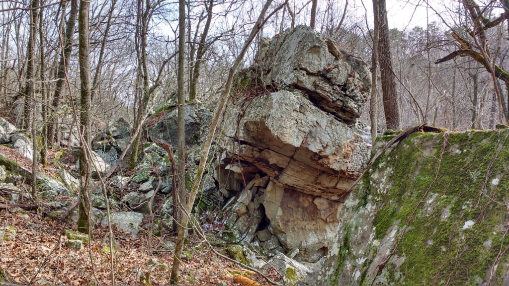 img_20200125_113554400_hdr.jpg