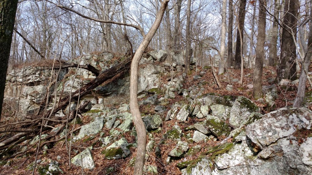 img_20200125_113715036.jpg
