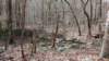 img_20200125_113859421_small.jpg