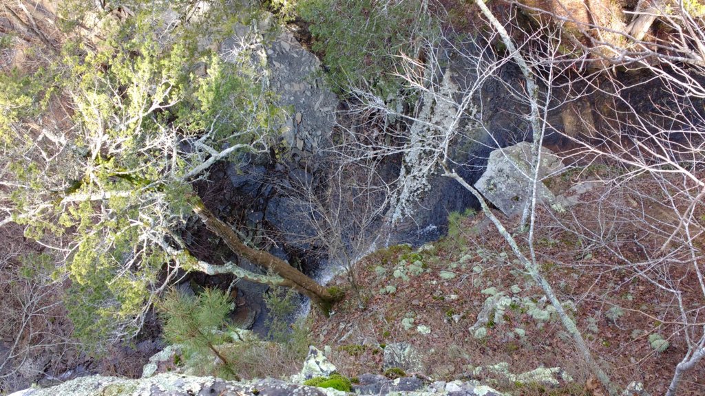 img_20200125_115238210.jpg