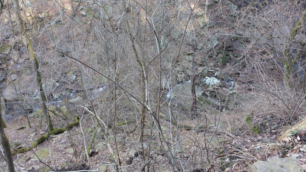 img_20200125_115628722.jpg