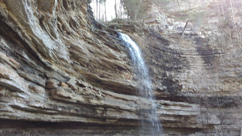 img_20200125_120359324.jpg