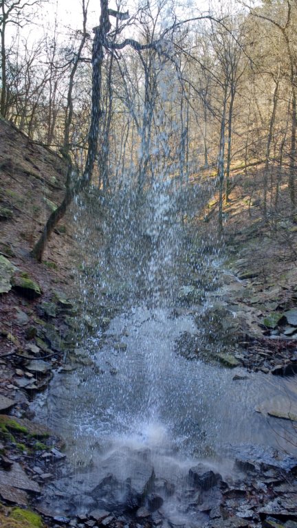 img_20200125_120446864_hdr.jpg