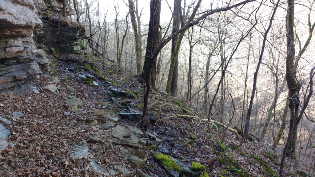 img_20200125_121039879.jpg