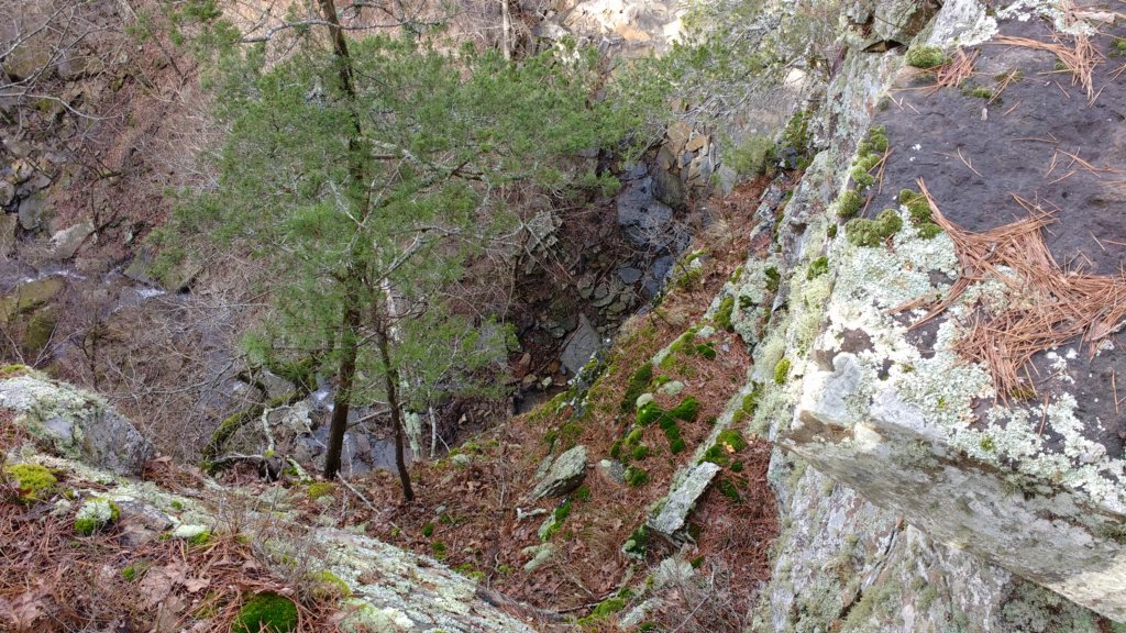 img_20200125_121920814.jpg