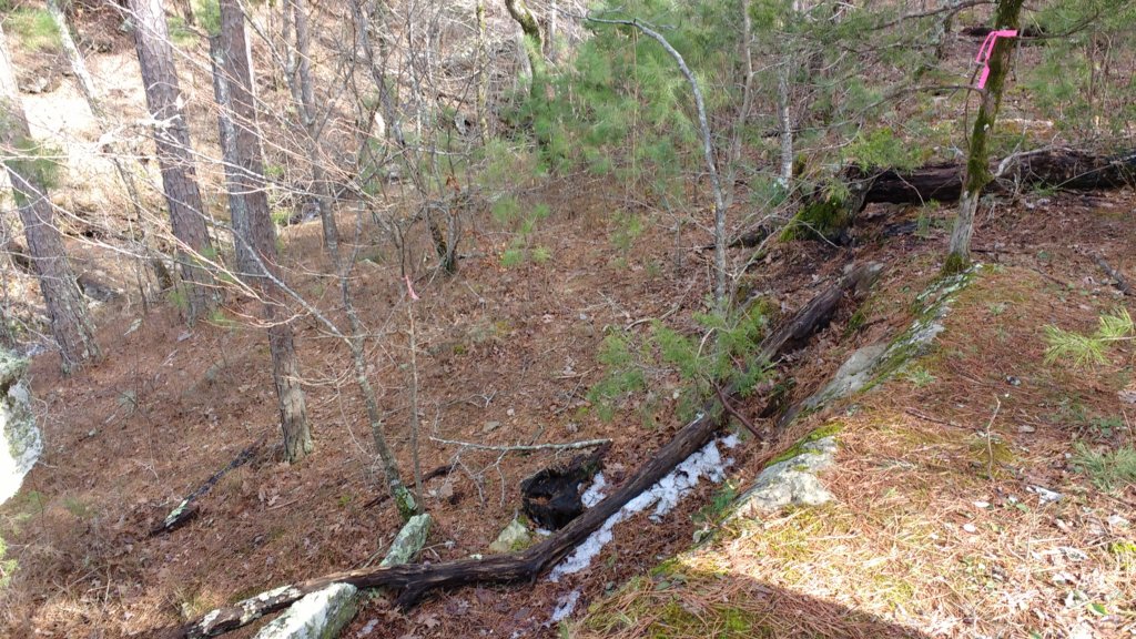 img_20200125_121952503.jpg