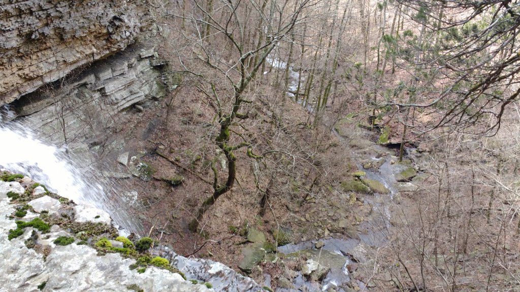 img_20200125_122153761.jpg