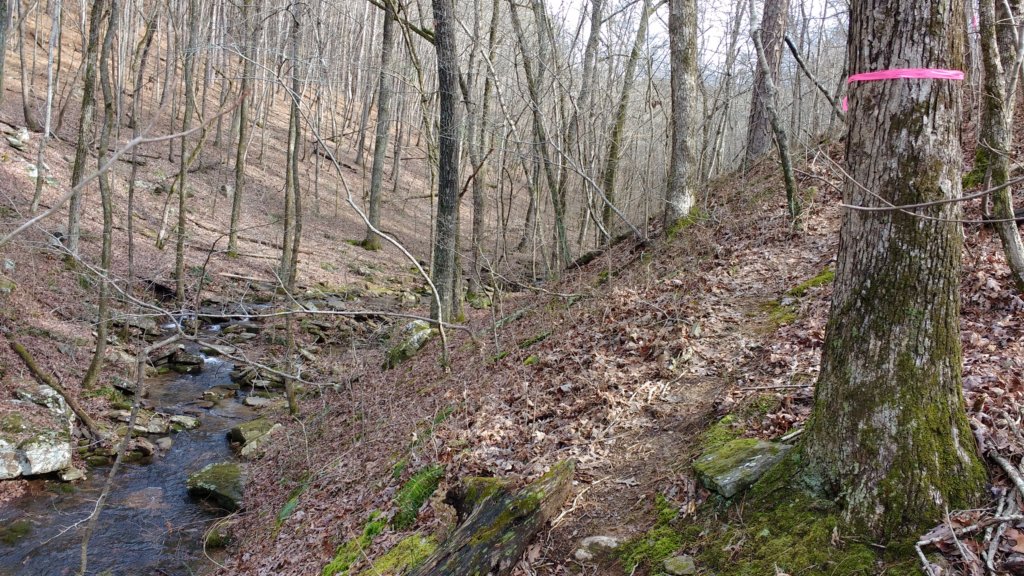 img_20200125_122629303.jpg