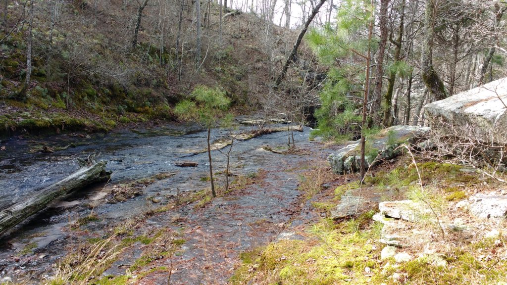 img_20200125_130115956.jpg