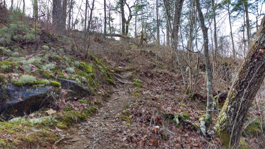 img_20200125_130426570_hdr.jpg