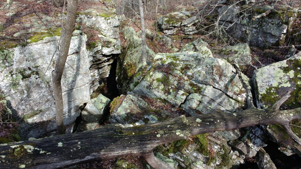 img_20200125_130657197.jpg