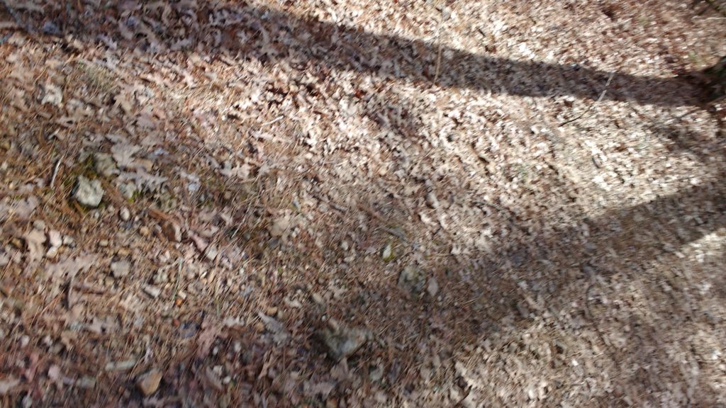 img_20200125_130838115.jpg