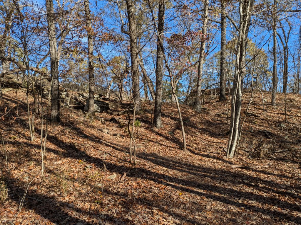 pxl_20241112_160920374.jpg
