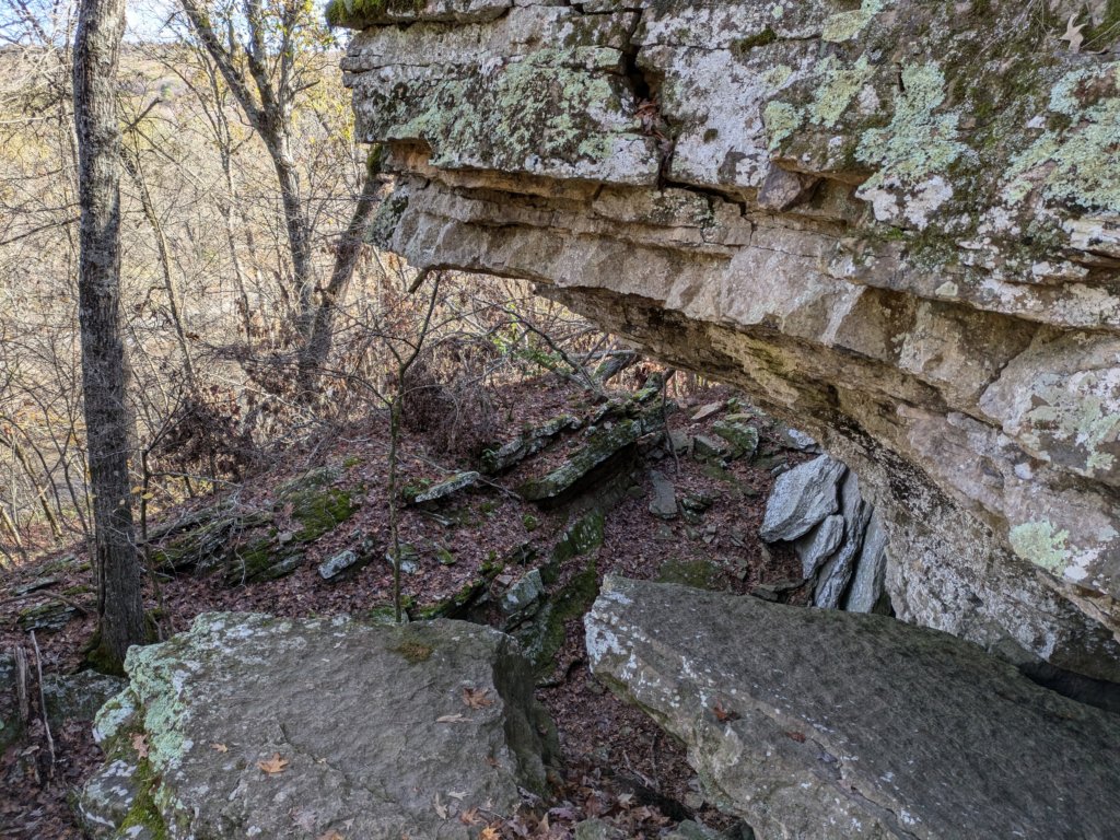 pxl_20241112_161033683.jpg