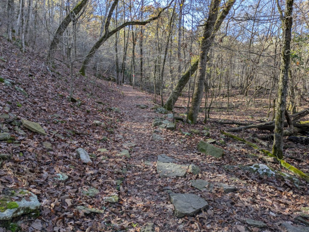pxl_20241112_161547101.jpg