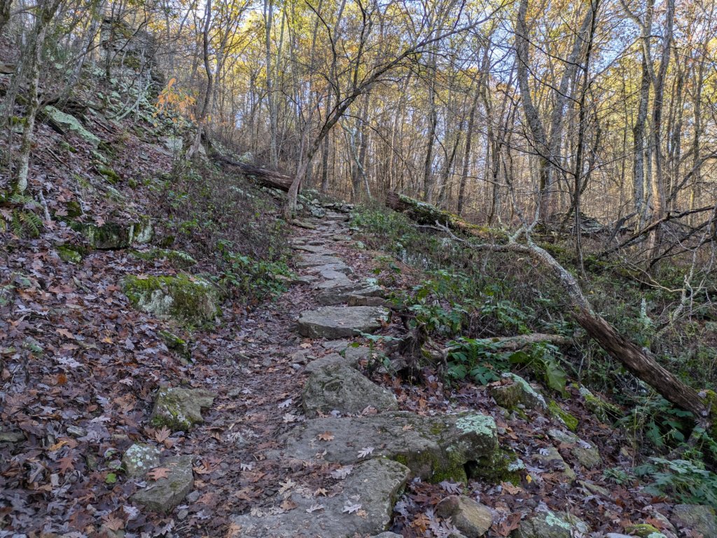 pxl_20241112_161718633.jpg