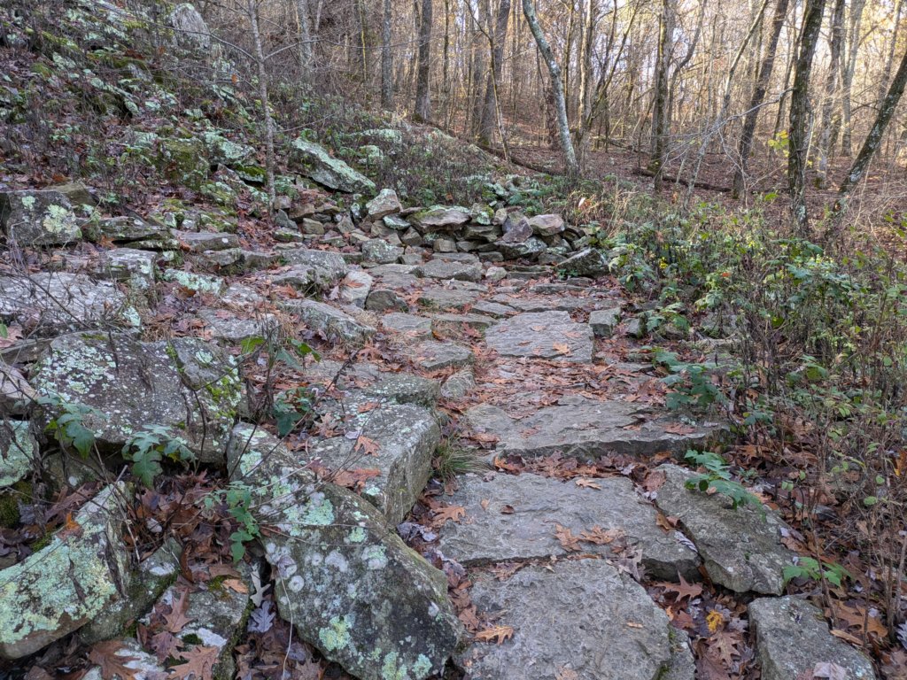 pxl_20241112_161746221.jpg