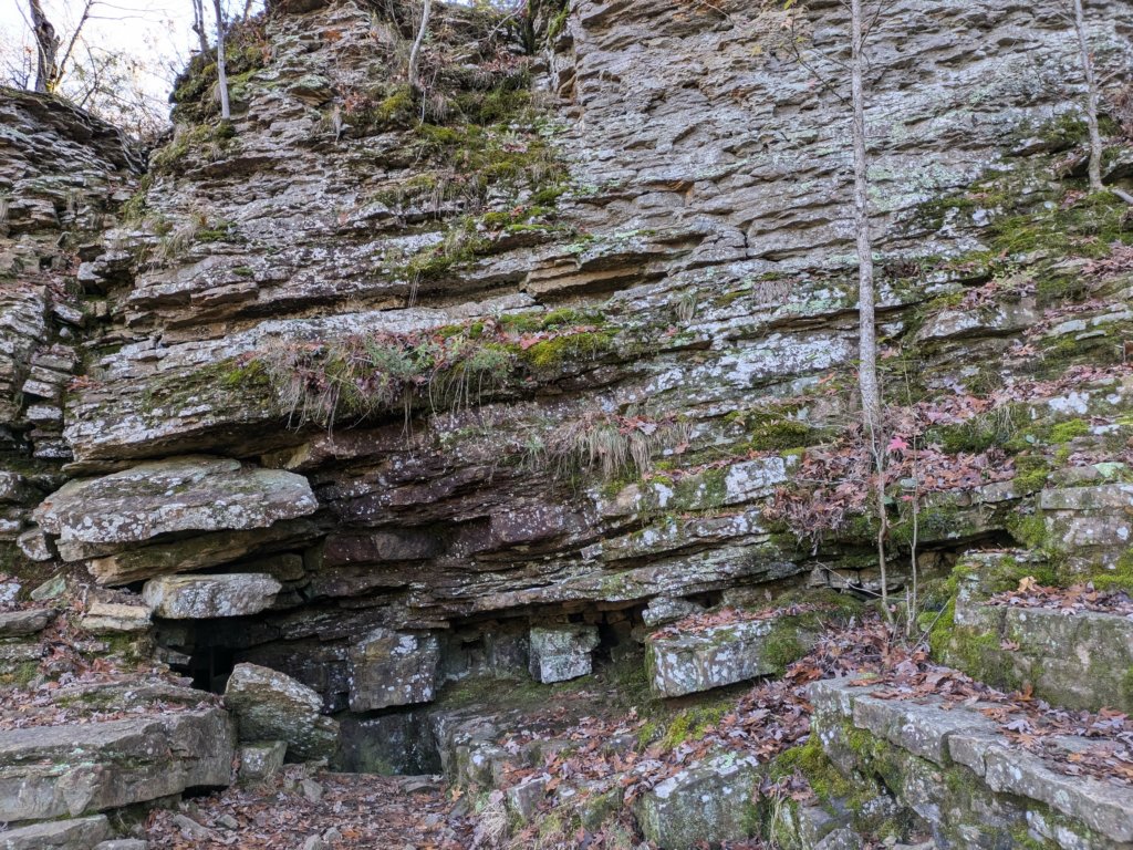 pxl_20241112_161909609.jpg