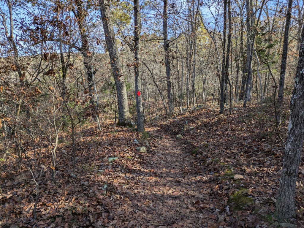pxl_20241112_162156659.jpg