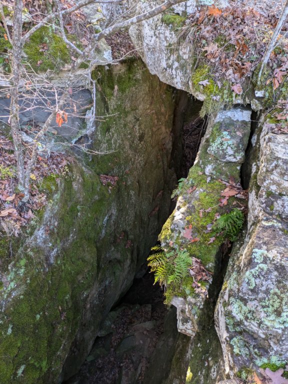 pxl_20241112_162412450.jpg