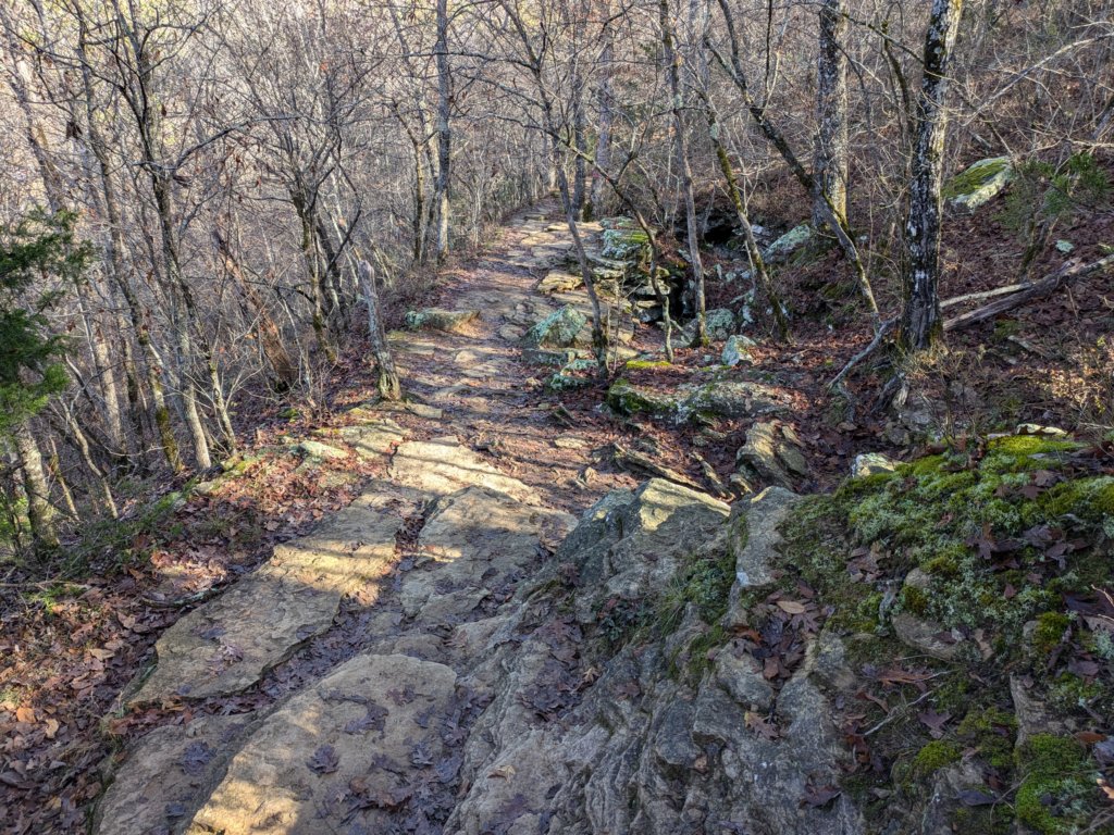 pxl_20241112_162446813.jpg
